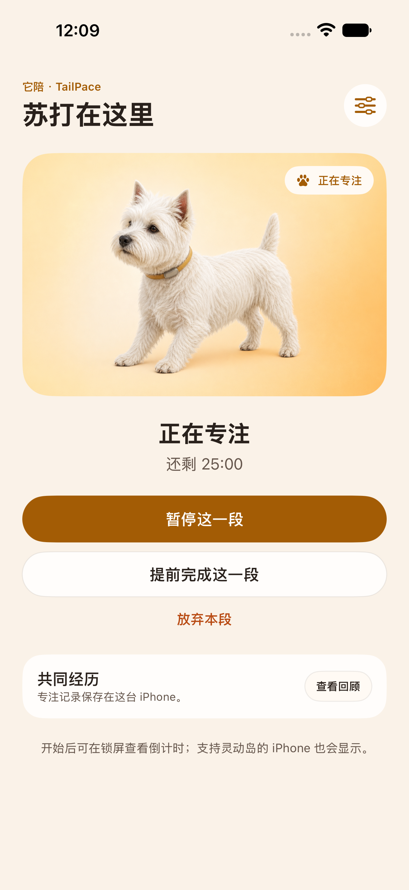 TailPace 正在专注的真实应用界面